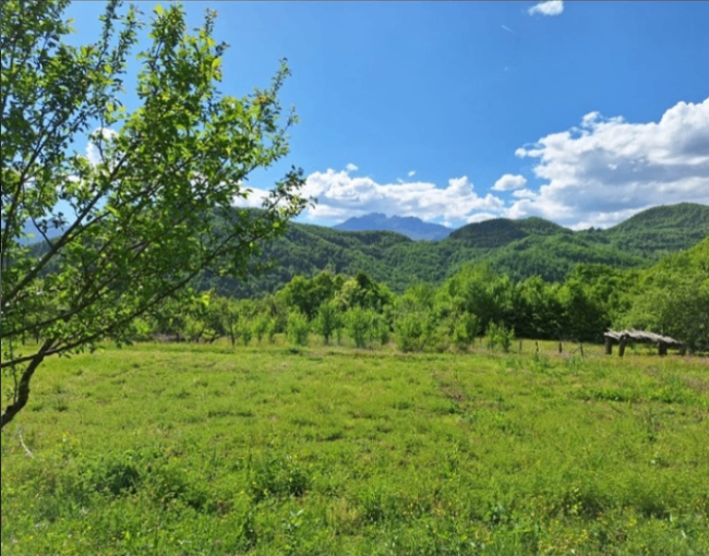 Продаж - Земля Kolašin, Crkvine