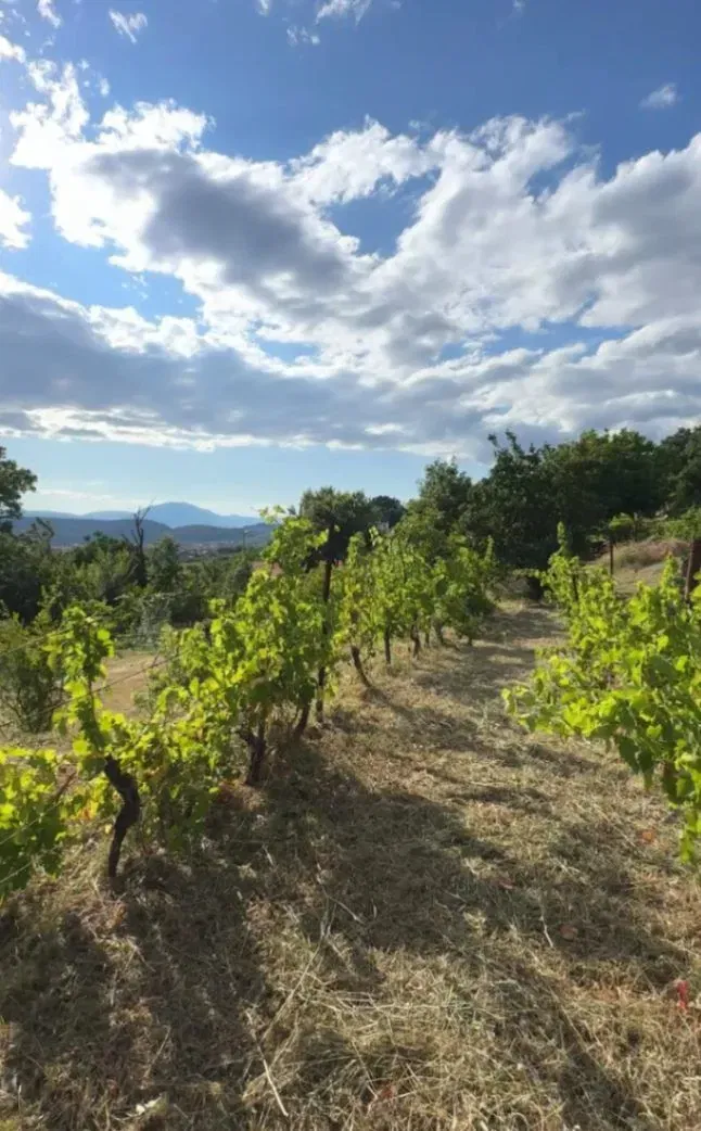 Prodaja - Zemljište Podgorica, Doljani