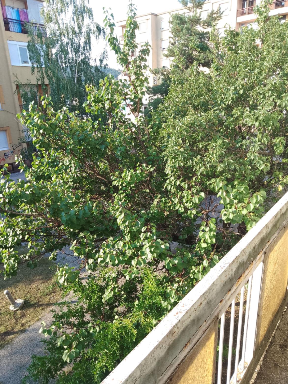 Slika nekretnine 14