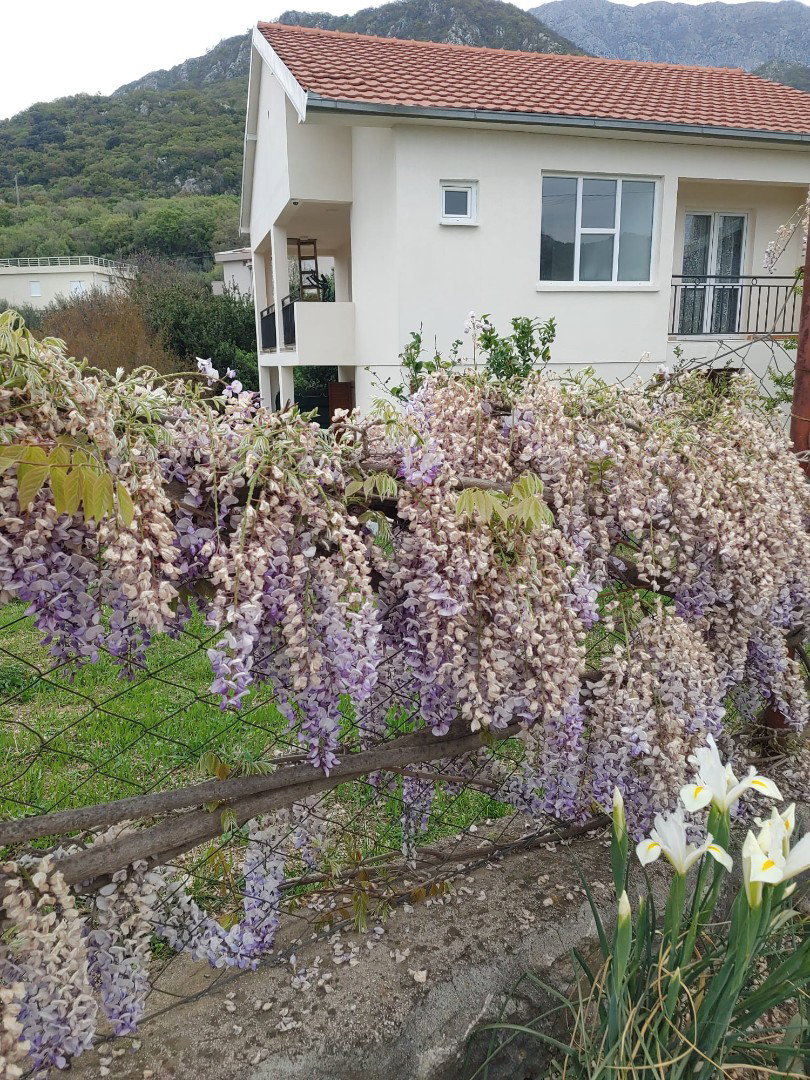 Prodaja - Kuća Bar, Bar