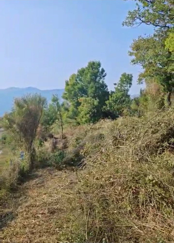 Slika nekretnine 2