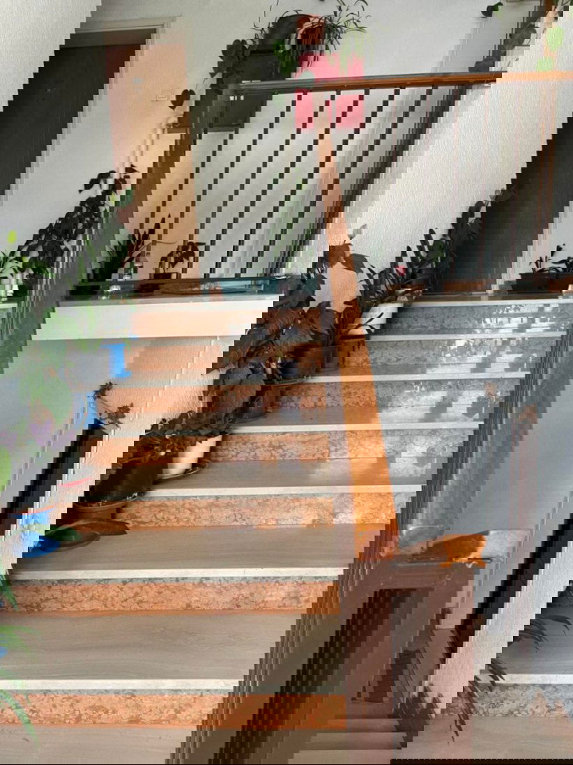 e1d77e99-1d04-4b50-bd3e-edc557f8c7d8.jpeg