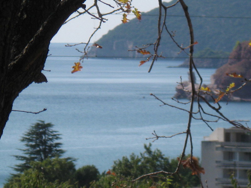 Slika nekretnine 4