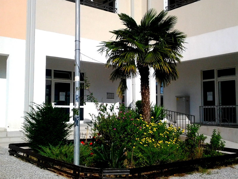 Satış - Daire Bar, Bar