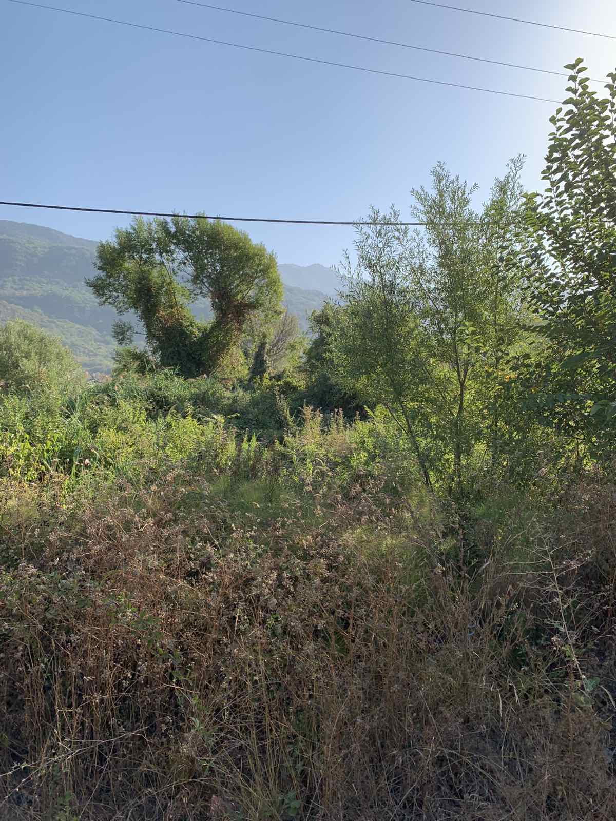 Slika nekretnine 2