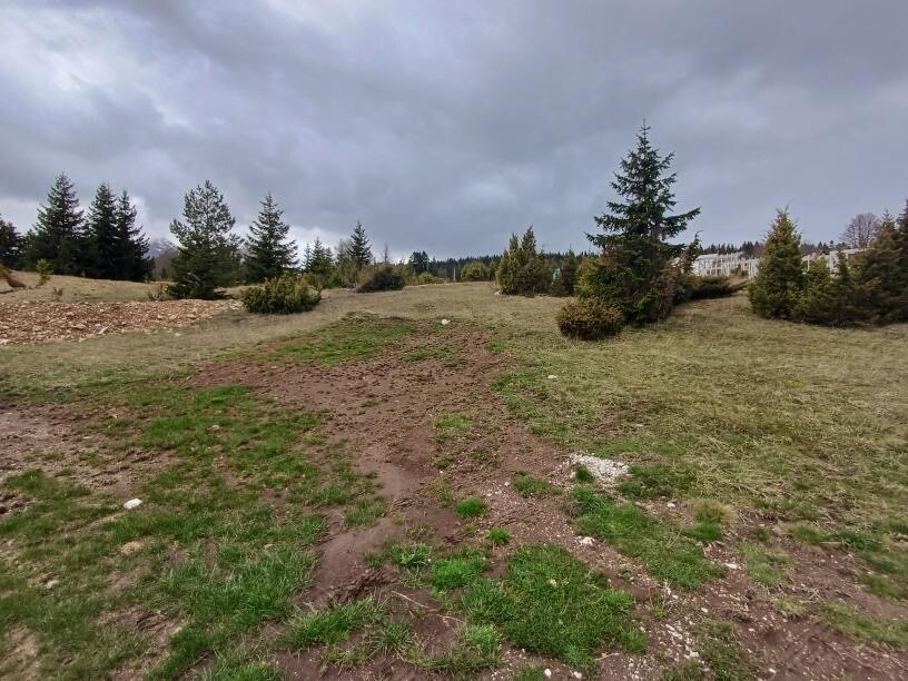 Sale - Land Žabljak, Centar