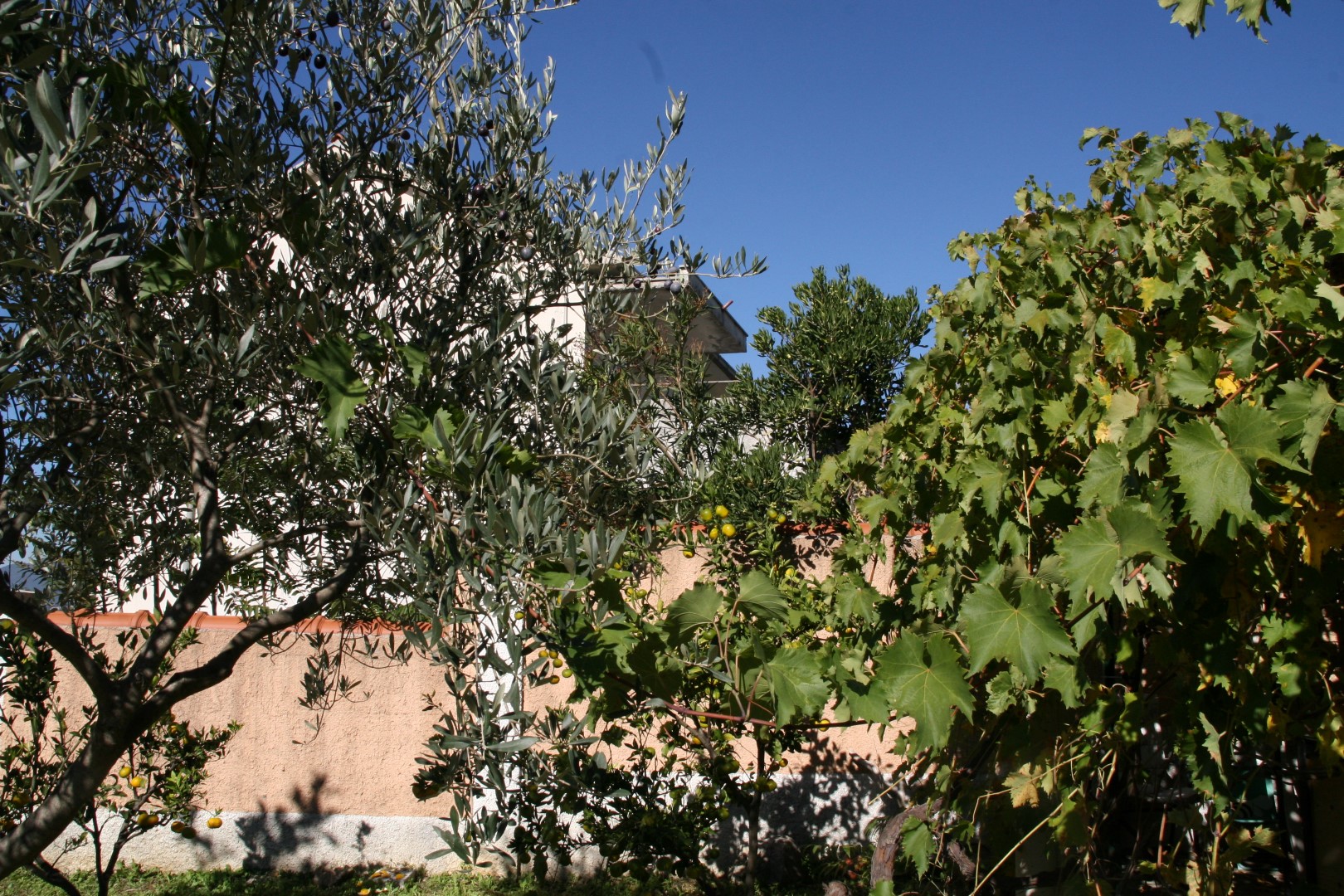 Slika nekretnine 2
