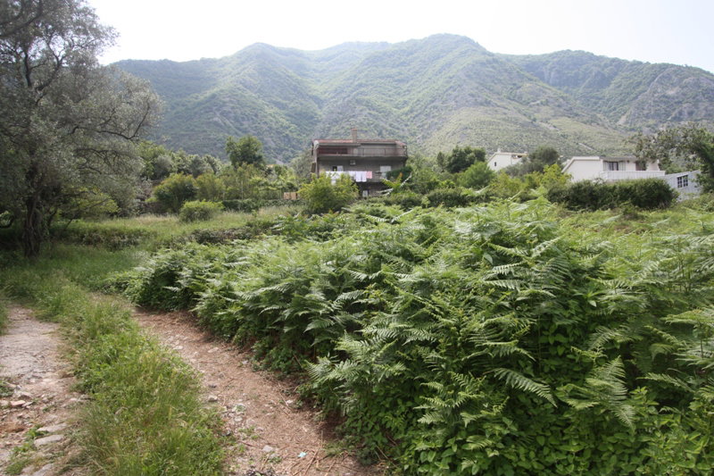 Продажа - Земля Kotor, Prčanj