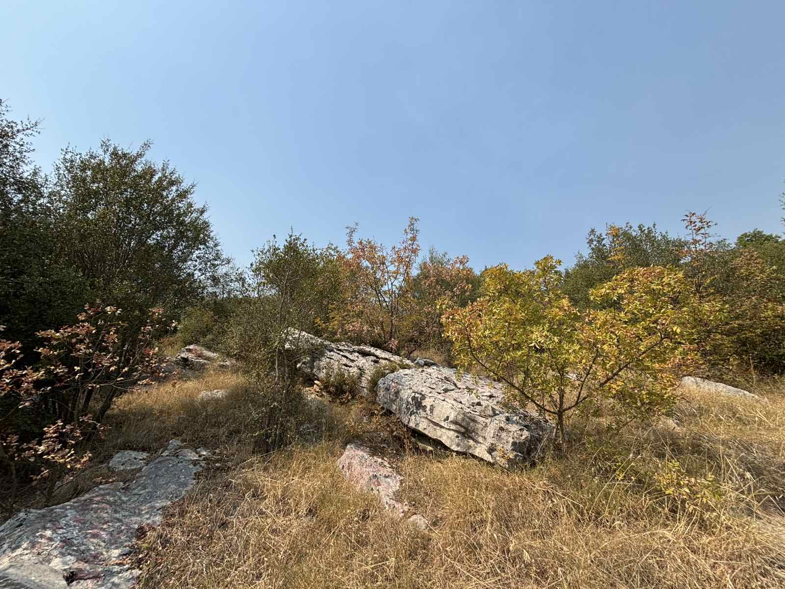 Slika nekretnine 7
