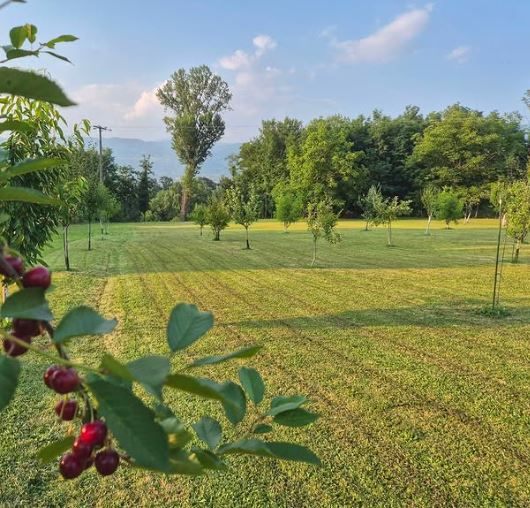 Продаж - Земля Danilovgrad, Danilovgrad