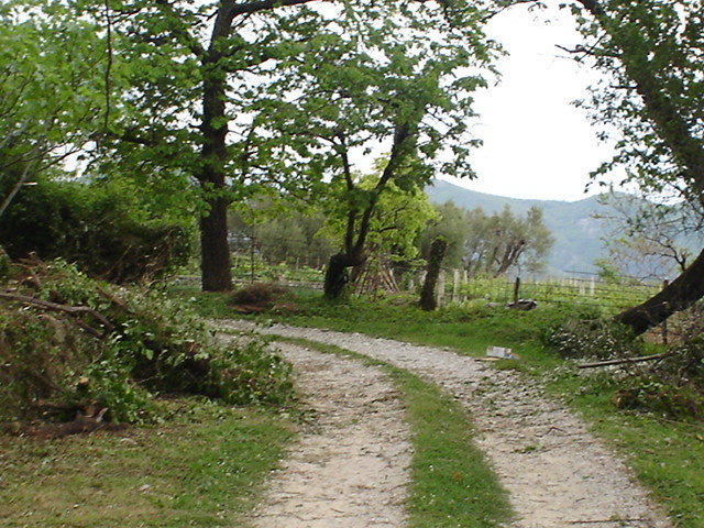 Slika nekretnine 6
