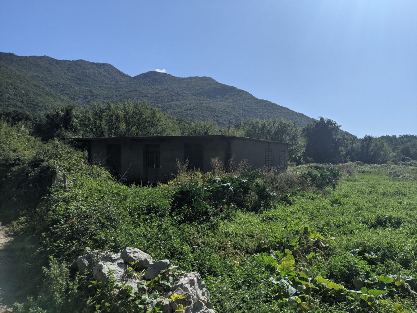 Slika nekretnine 6