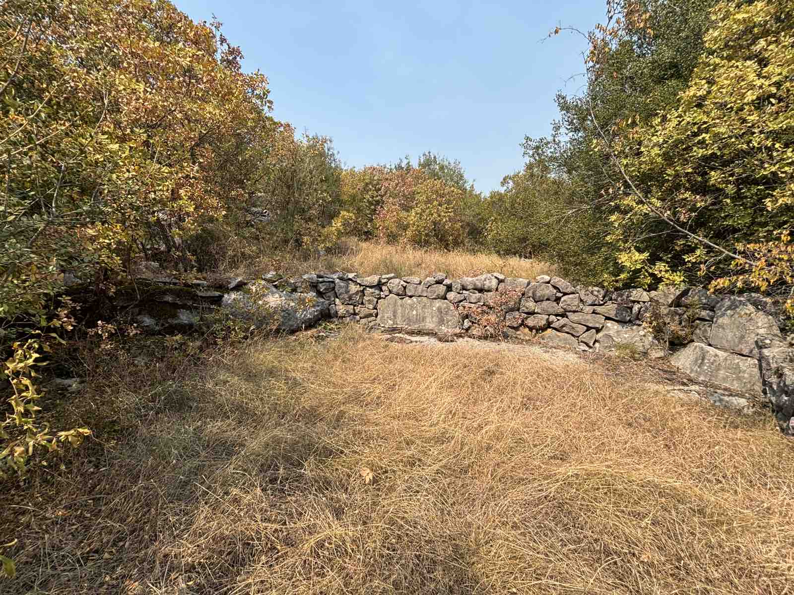 Slika nekretnine 6