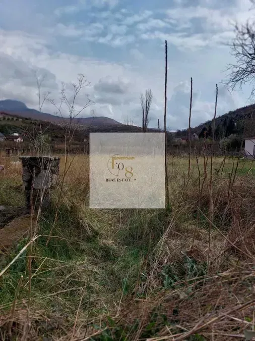 Продаж - Земля Podgorica, Masline