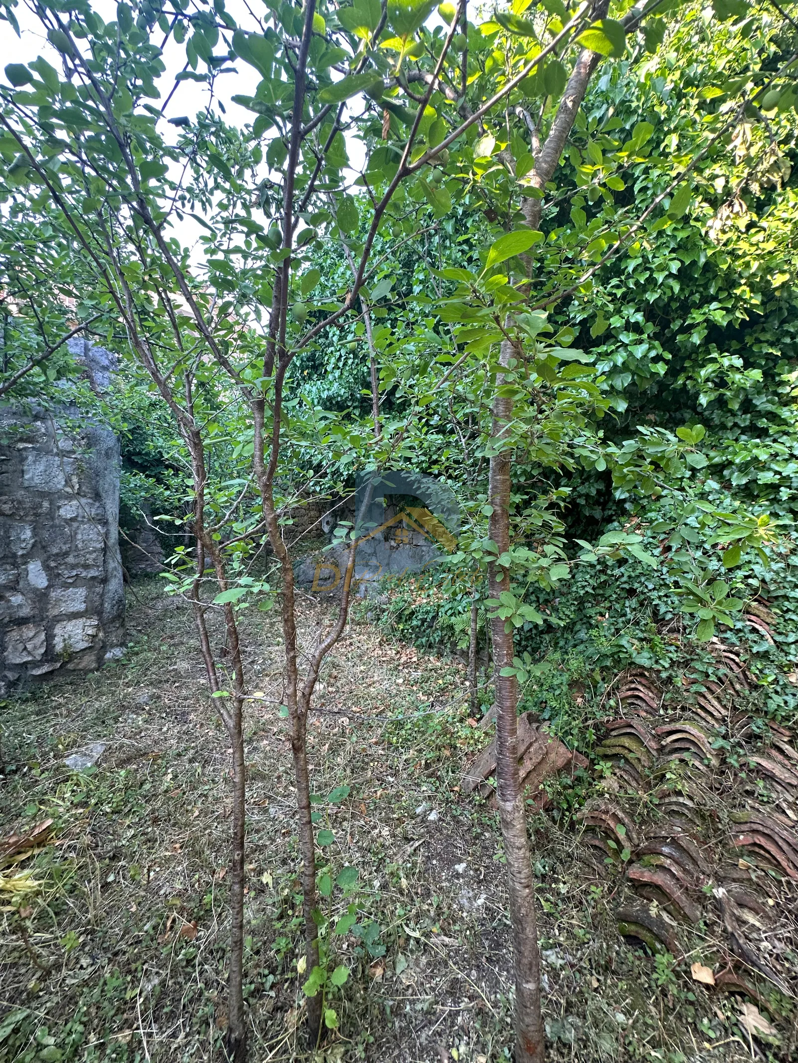 Slika nekretnine 12