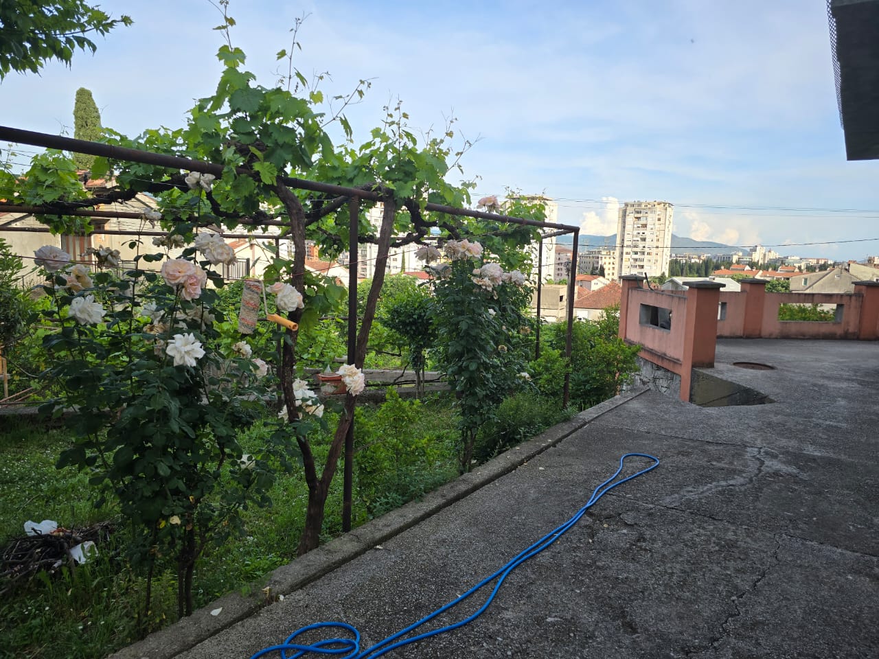 fb5248ab-bde4-4187-9ede-89a9e1e516e0.jpg