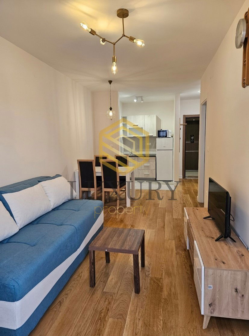 Rent - Apartment Podgorica, Central Point