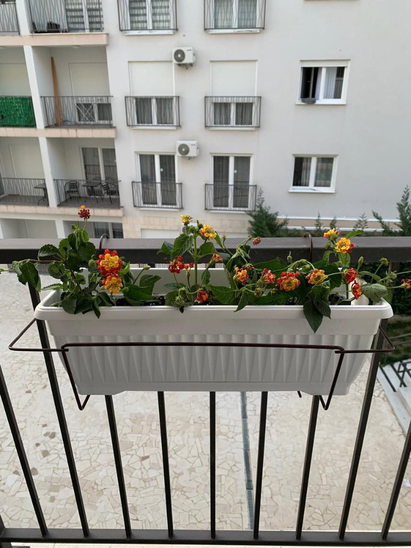 Prodaja - Stan Budva, Budva