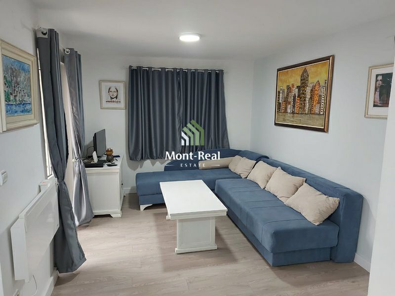 Sale - Apartment Budva, Velji Vinogradi