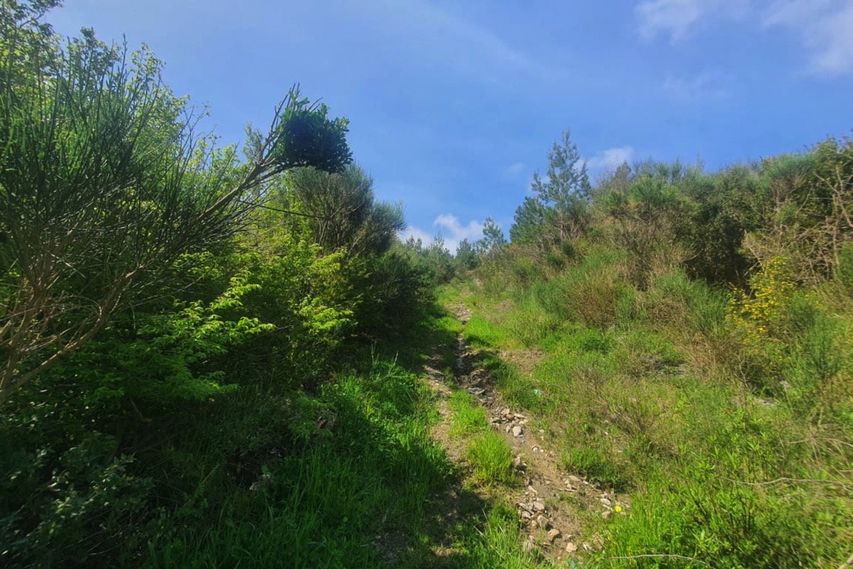 Satılık - Arazi Bar, Sutomore