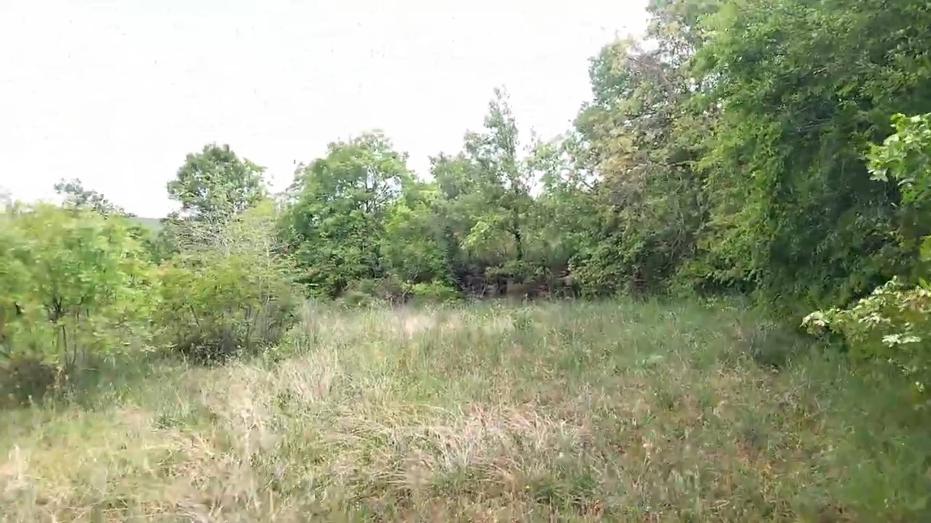 ff569862-878f-4e46-860c-60f828d3876f.jpg