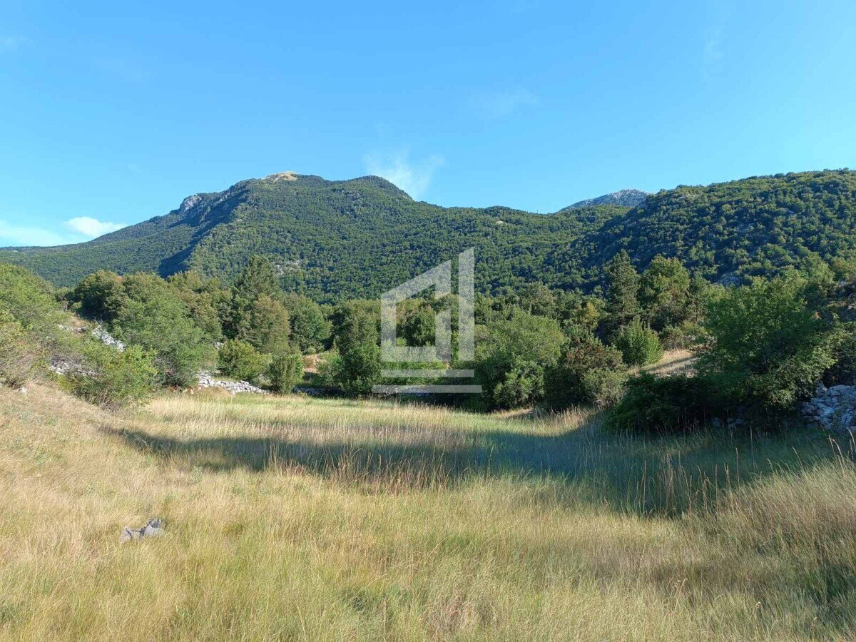 Sale - Land Cetinje, Njeguši