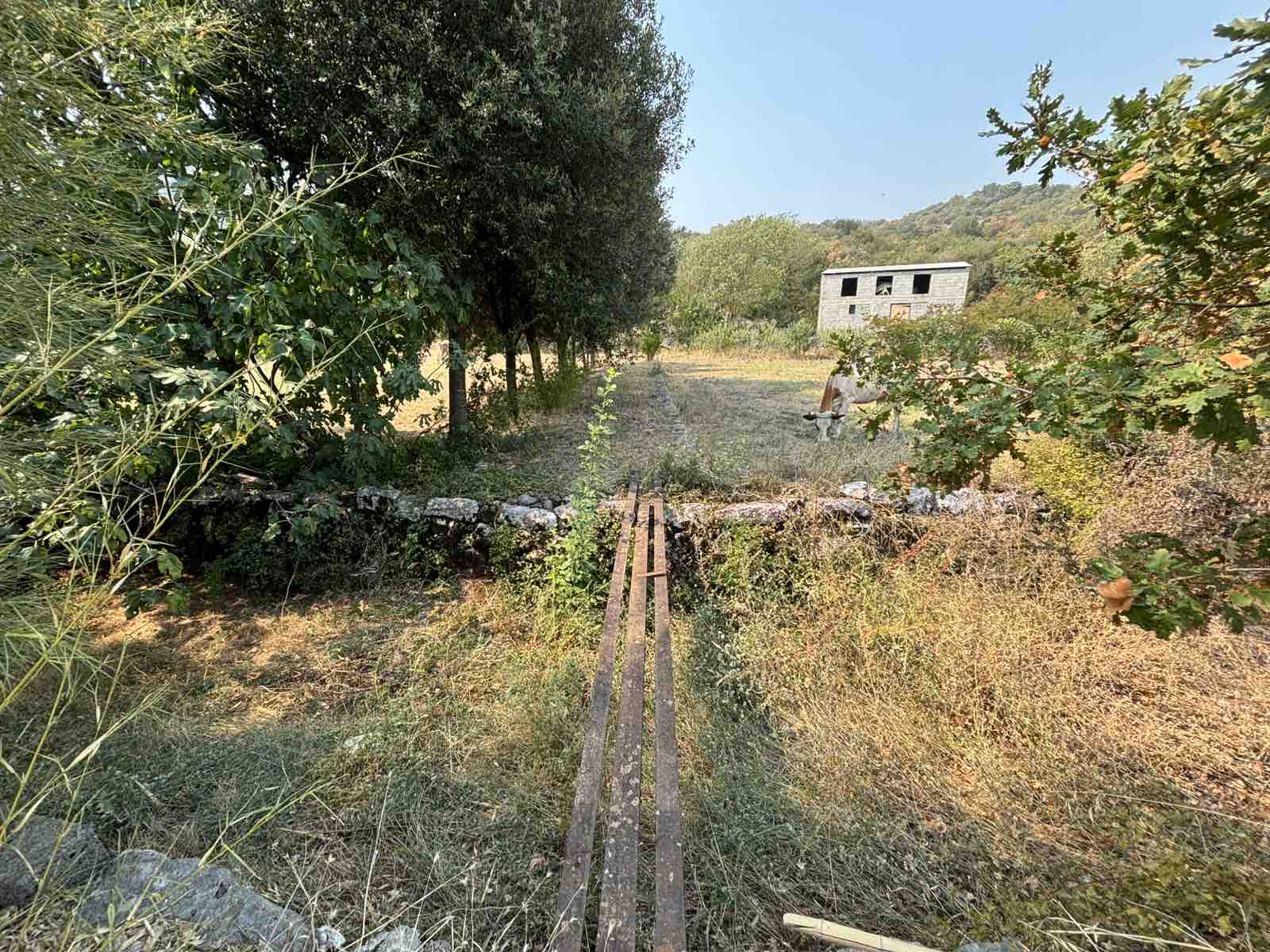 Slika nekretnine 4